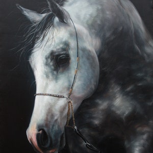 Wild horse art, Original artwork, Mykola Kaftan horse portrait, Animals painted, Gift for friend, Professional oil painting, Ready to hang