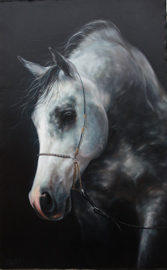 Wild Horse Art, Original Artwork, Mykola Kaftan Horse Portrait