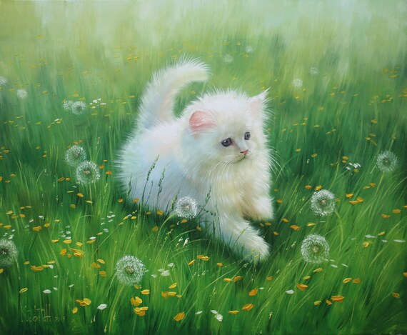 Kitten pets cheap at home
