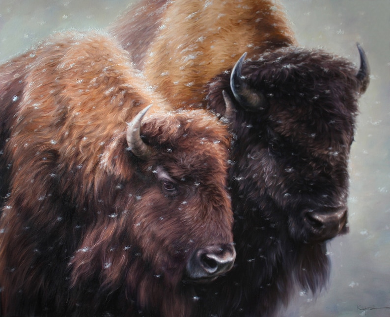 Pair of bison Buffalo oil painting Buffalo art Bison oil Etsy