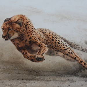 Chita à caça, Decoração para casa, Arte de parede, Pintura original, Pintura de animais, Arte de chita, Pintura de leopardo, Chita em tela, Arte animal