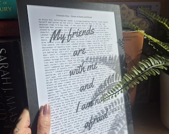 CRESCENT CITY Book Page Quote Print, mounted bookshelf decor, Fantasy Romance Lehabah Chapter, Bryce Angel scene