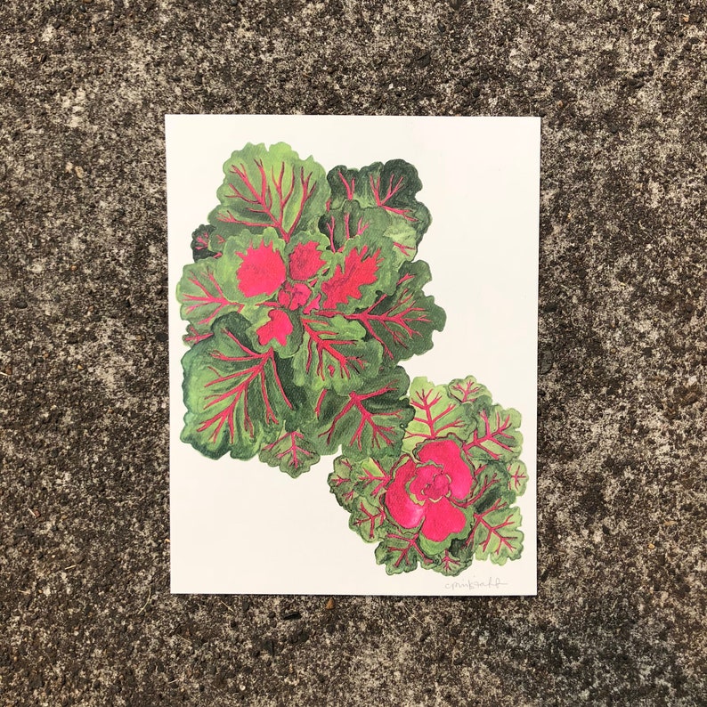 Osaka Red Cabbage Gouache Illustration