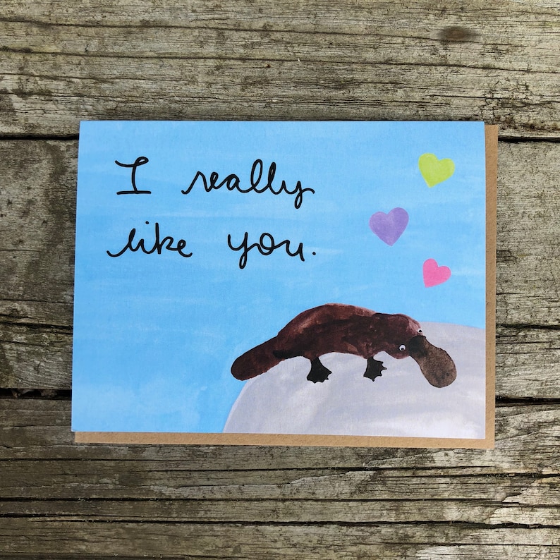 Valentine Platypus Folding Card