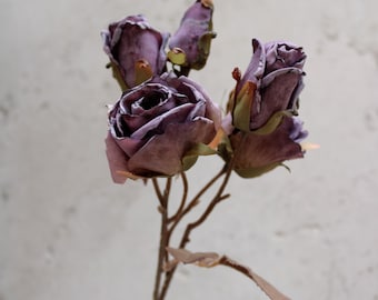 Puede incluir: Primer plano de un tallo de rosas artificiales. Las rosas son de un color púrpura apagado con un toque de marrón, y los pétalos tienen un aspecto ligeramente desgastado. El tallo es marrón con una pequeña cinta beige atada cerca de la base de la flor.