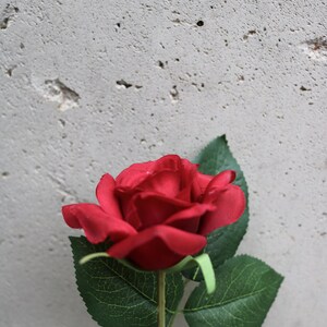 May include: A single red rose with green leaves and stem, set against a textured grey background. The rose is in full bloom, displaying its velvety petals. The image highlights the contrast between the flower and the backdrop.