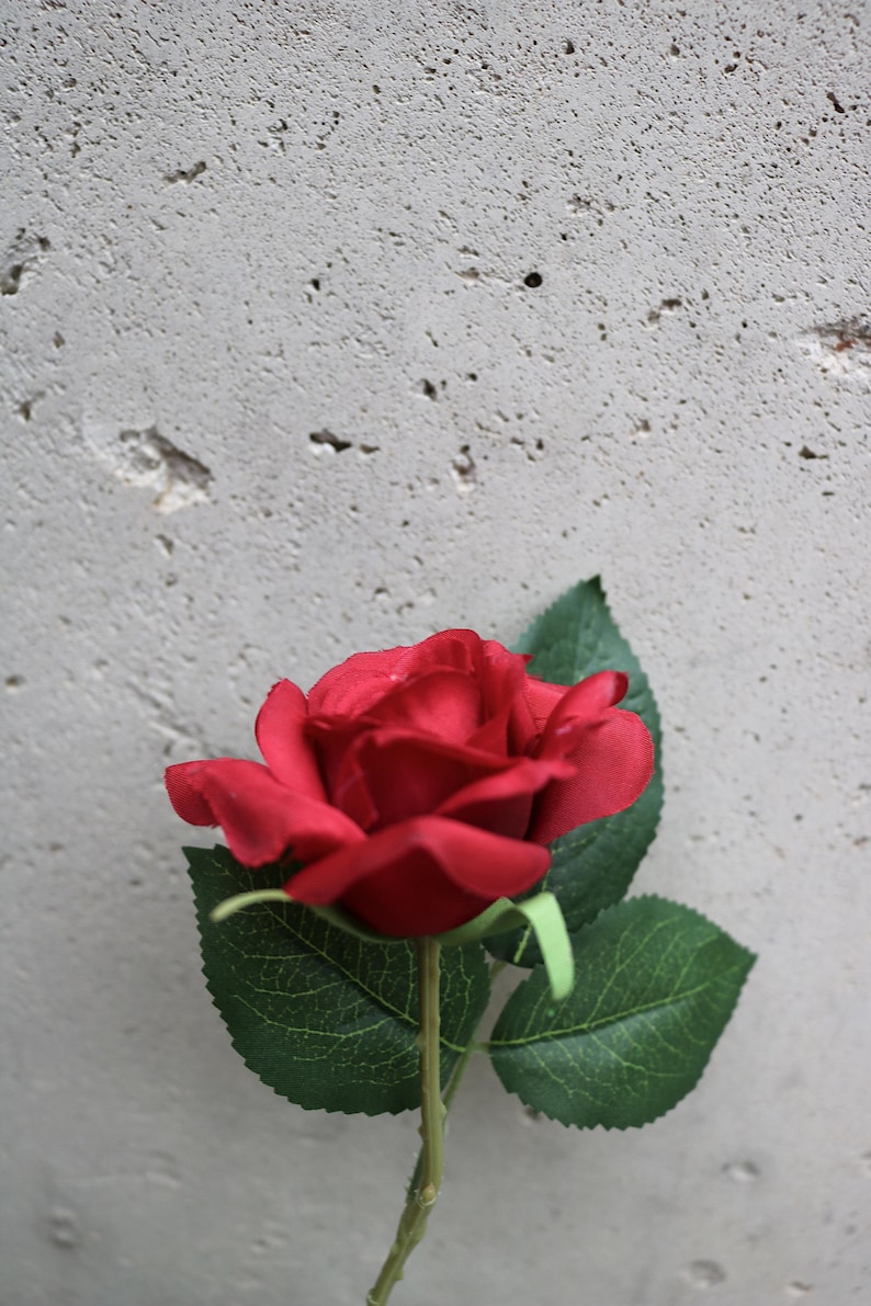 May include: A single red rose with green leaves and stem, set against a textured grey background. The rose is in full bloom, displaying its velvety petals. The image highlights the contrast between the flower and the backdrop.