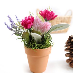 May include: A small terracotta pot with pink and purple flowers, green moss, and a brown pine cone.
