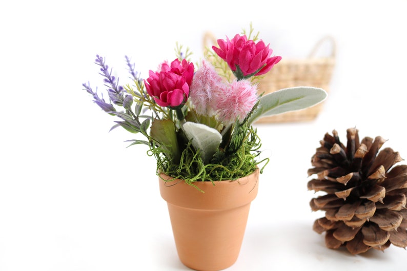May include: A small terracotta pot with pink and purple flowers, green moss, and a brown pine cone.