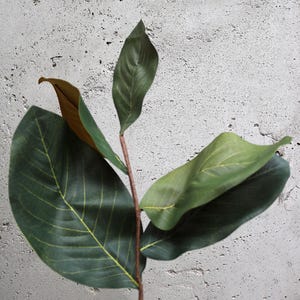 Magnolia | Artificial Magnolia Leaves Stem Greenery for Home Decor Wedding Centerpieces Farmhouse Style Southern Charm DIY Floral Project