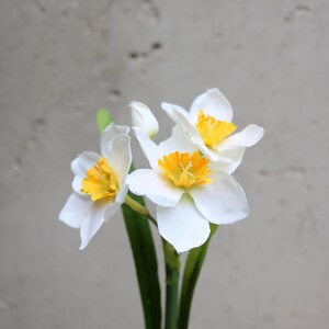 Op de afbeelding: Een close-up van witte narcissen met gele centra en groene stelen. De bloemen staan in volle bloei en tonen hun delicate bloemblaadjes en levendige kleuren. De achtergrond is een neutraal grijs.