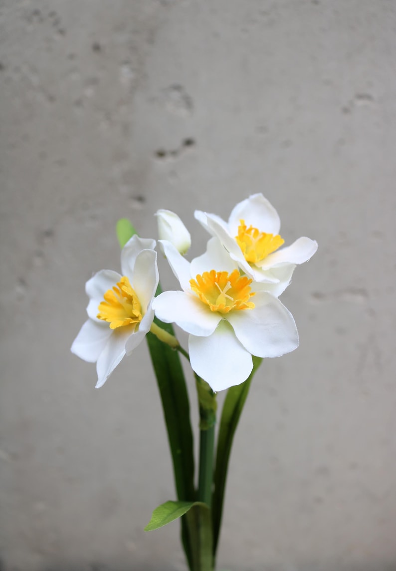 Op de afbeelding: Een close-up van witte narcissen met gele centra en groene stelen. De bloemen staan in volle bloei en tonen hun delicate bloemblaadjes en levendige kleuren. De achtergrond is een neutraal grijs.