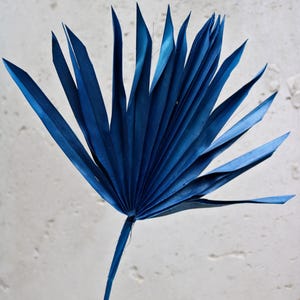 Palm Leaf | Dried Preserved Sun Palm Leaves Tropical Blue Bohemian Wedding Party Flowers Home Decor DIY Floral Arrangement Eclectic Gift