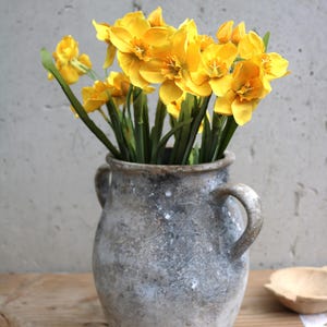 Peut inclure: Un vase en c&eacute;ramique gris&acirc;tre et rustique, avec deux anses, contient un bouquet de jonquilles jaunes vives. Les fleurs ont plusieurs couches de p&eacute;tales et des tiges vertes. Le vase est pos&eacute; sur une surface en bois, avec des noix et une petite p&acirc;tisserie &agrave; proximit&eacute;.