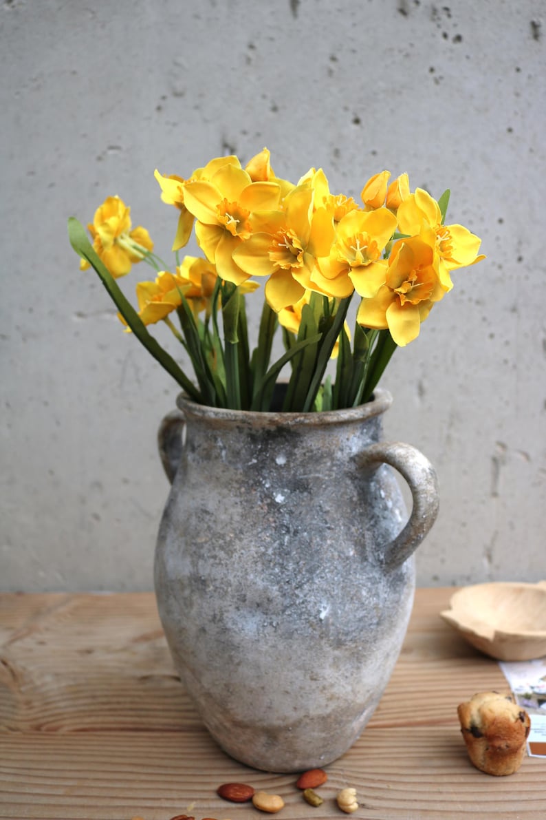 Peut inclure: Un vase en c&eacute;ramique gris&acirc;tre et rustique, avec deux anses, contient un bouquet de jonquilles jaunes vives. Les fleurs ont plusieurs couches de p&eacute;tales et des tiges vertes. Le vase est pos&eacute; sur une surface en bois, avec des noix et une petite p&acirc;tisserie &agrave; proximit&eacute;.