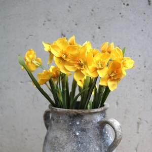 Peut inclure: Un bouquet de jonquilles jaune vif avec des tiges et des feuilles vertes dans un vase en c&eacute;ramique gris rustique. Les fleurs sont en pleine floraison, mettant en valeur leur couleur vibrante et les d&eacute;tails de leurs p&eacute;tales. Le vase a deux anses.