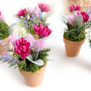 May include: Five small terracotta pots with pink and purple flowers, green moss, and sprigs of greenery.