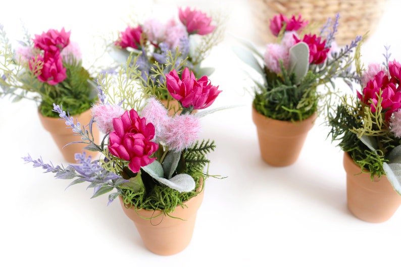 May include: Five small terracotta pots with pink and purple flowers, green moss, and sprigs of greenery.