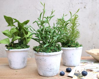 Faux Potted Herbs Set: Rustic Farmhouse Kitchen Decor, Artificial Greenery, Small Tiered Tray Decor, Spring Housewarming Gift