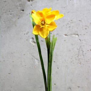 Peut inclure: Un narcisse jaune vif avec un centre d&eacute;taill&eacute; et de multiples p&eacute;tales. La fleur a des feuilles et une tige vertes, et est fix&eacute;e avec du ruban adh&eacute;sif blanc. Le fond est un mur gris clair textur&eacute;.
