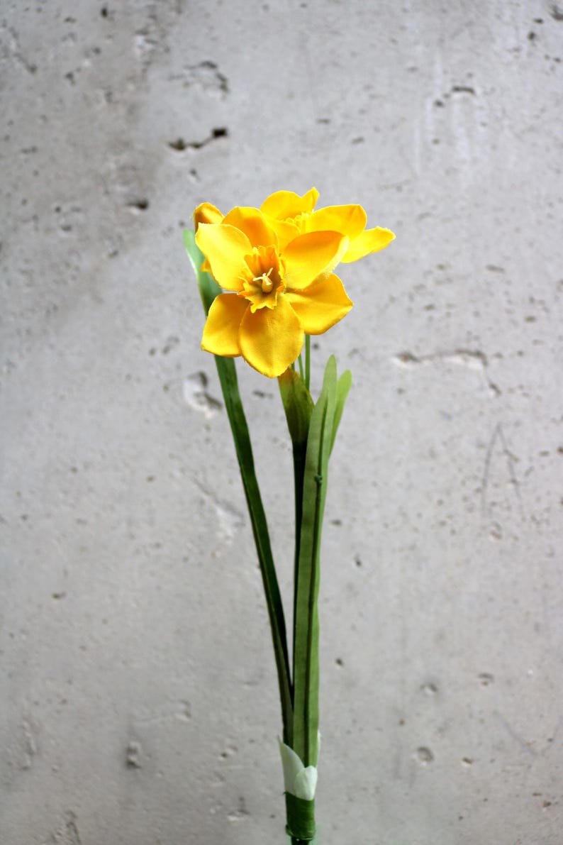 Peut inclure: Un narcisse jaune vif avec un centre d&eacute;taill&eacute; et de multiples p&eacute;tales. La fleur a des feuilles et une tige vertes, et est fix&eacute;e avec du ruban adh&eacute;sif blanc. Le fond est un mur gris clair textur&eacute;.