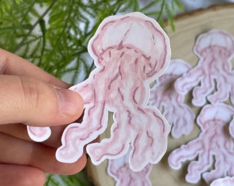 Pink Jellyfish Sticker | Glossy Vinyl Die Cut Sticker