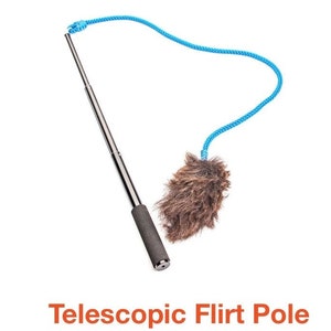 Telescopic Flirt pole