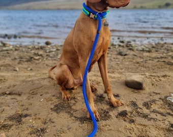 May include: A brown dog wearing a blue and green collar and leash sits on a sandy beach. The blue leash has a green accent near the handle. The dog is looking to the right, with a lake and mountains in the background.