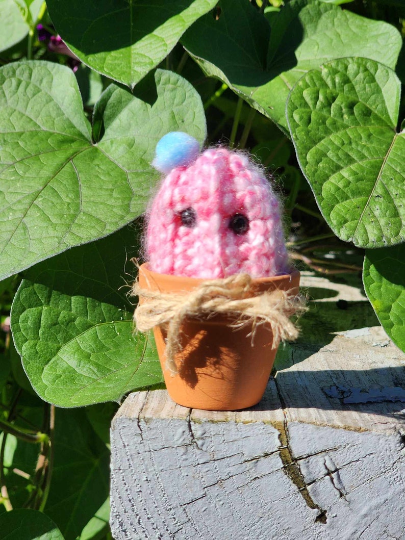 Cactus Baby Desk Buddy rainbow Colors Etsy