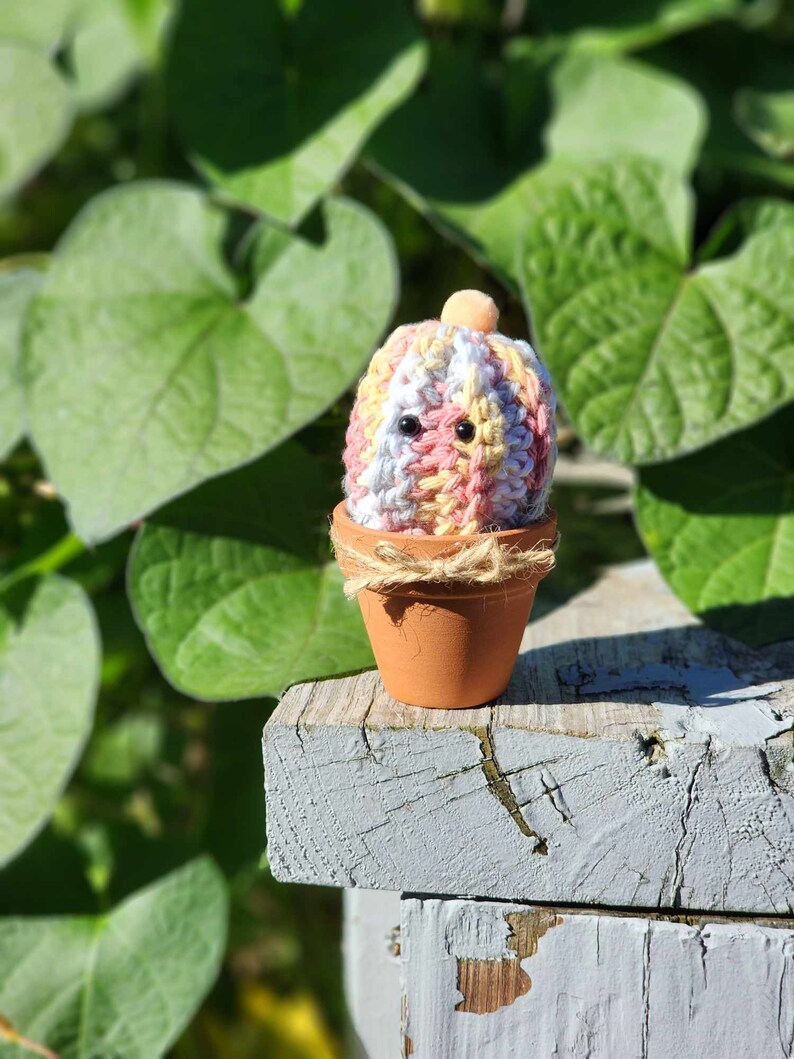 Cactus Baby Desk Buddy rainbow Colors Etsy