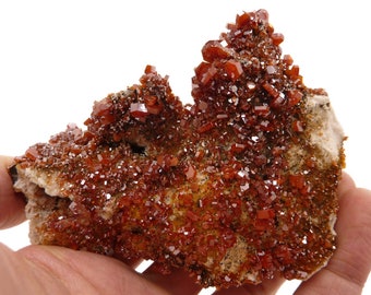 Vanadinite Crystal Cluster with Barite - Morocco - 309 grams - 4 x 3 x 1.75 in