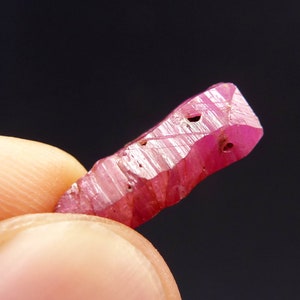 May include: A raw, faceted ruby gemstone, held between fingers, against a dark background. The ruby is a vibrant pink-red color, with visible crystalline structures and natural imperfections. The gemstone is approximately 1 inch in length.