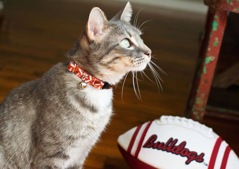 Football Cat Collar Game Day Cat Collar Football Collar Etsy