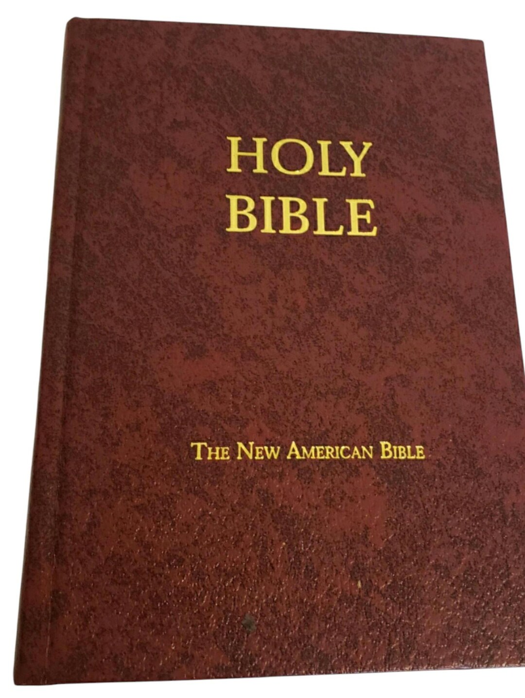Holy Bible the New American Bible Maroon Cover 2003-2004 Edition ...