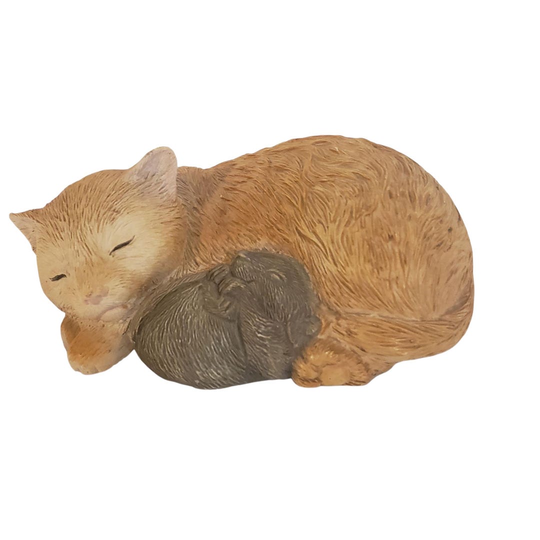 Sleeping Curled up Orange Cat Kitten Feline Taking a Nap With a Gray ...