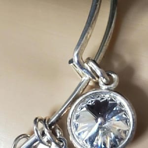 Alex and Ani Clear rhinestone silver toned charm bracelet with charms