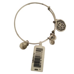 Alex and Ani silver toned letter B charm bracelet
