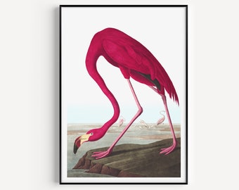 Printable Art, Flamingo Print, Wall Art, Flamingo Wall Art, Wall Art Prints, Printables, Minimalist Print, Modern Art, Instant Download