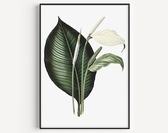 Arte murale con fiori, Arte murale con gigli, Stampa di fiori, Arte stampabile, Scarica arte, Arte murale minimalista, Scandinava, Arte murale, Download istantaneo