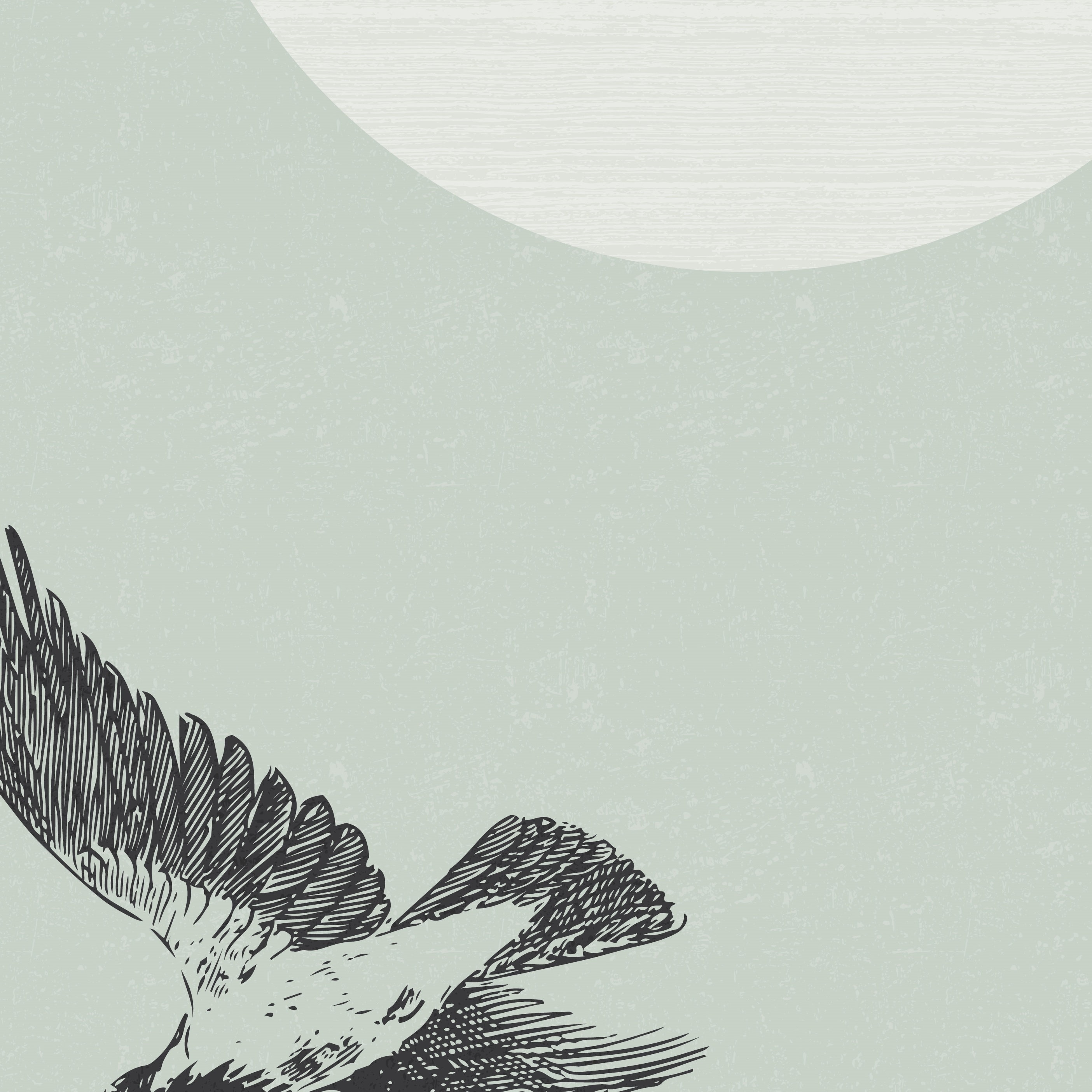 Bird Print Bird Wall Art Bird Printable Printable Wall Art | Etsy