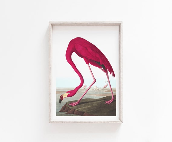 Printable Art Flamingo Print Wall Art Flamingo Wall Art | Etsy