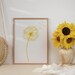 Wall Art Prints, Printable Wall Art, Dandelion Print, Instant Download ...