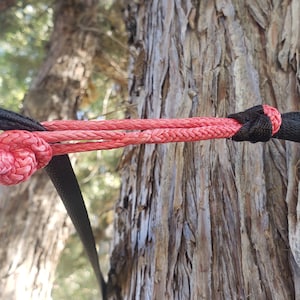 May include: Close-up of a red rope knot and black webbing straps secured to a tree trunk. The knot is intricately tied, and the straps are taut, suggesting a suspension system or outdoor gear setup. The background shows a blurred forest.