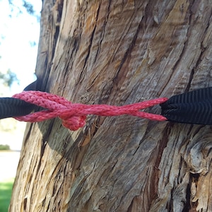 May include: Close-up of a tree trunk with a black strap and a red rope tied around it. The rope is knotted in the center, securing the strap to the tree. The tree bark is brown and textured.