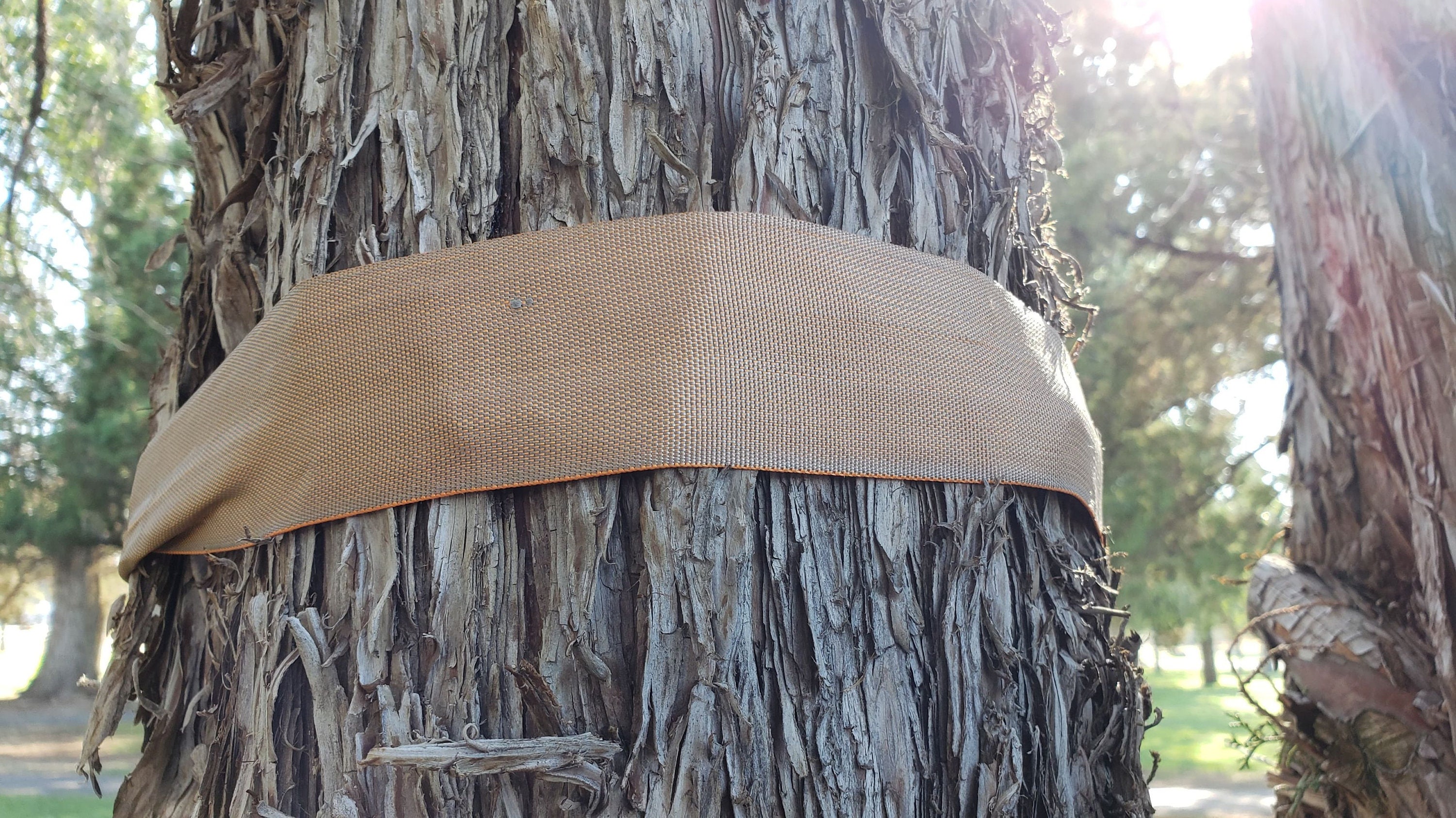 2 Inch Wide bing UHMWPE aka Dyneema Hammock Strap bing Etsy Denmark