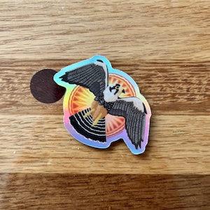 Holographic Aplomado Falcon Sticker