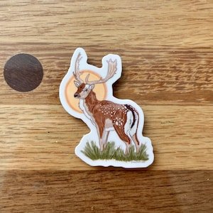 Fallow Deer Sticker