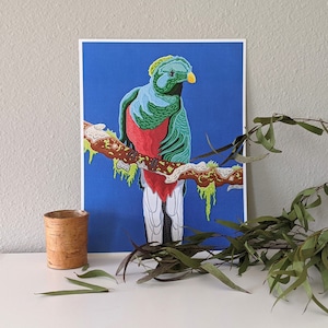 Impression quetzal resplendissante