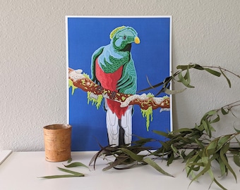 Resplendent Quetzal Print