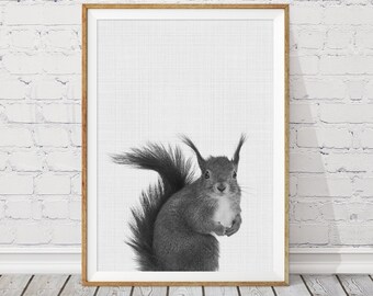 Squirrel Nursery Print, Woodland Animals, Modern Wall Art (Digital Download)